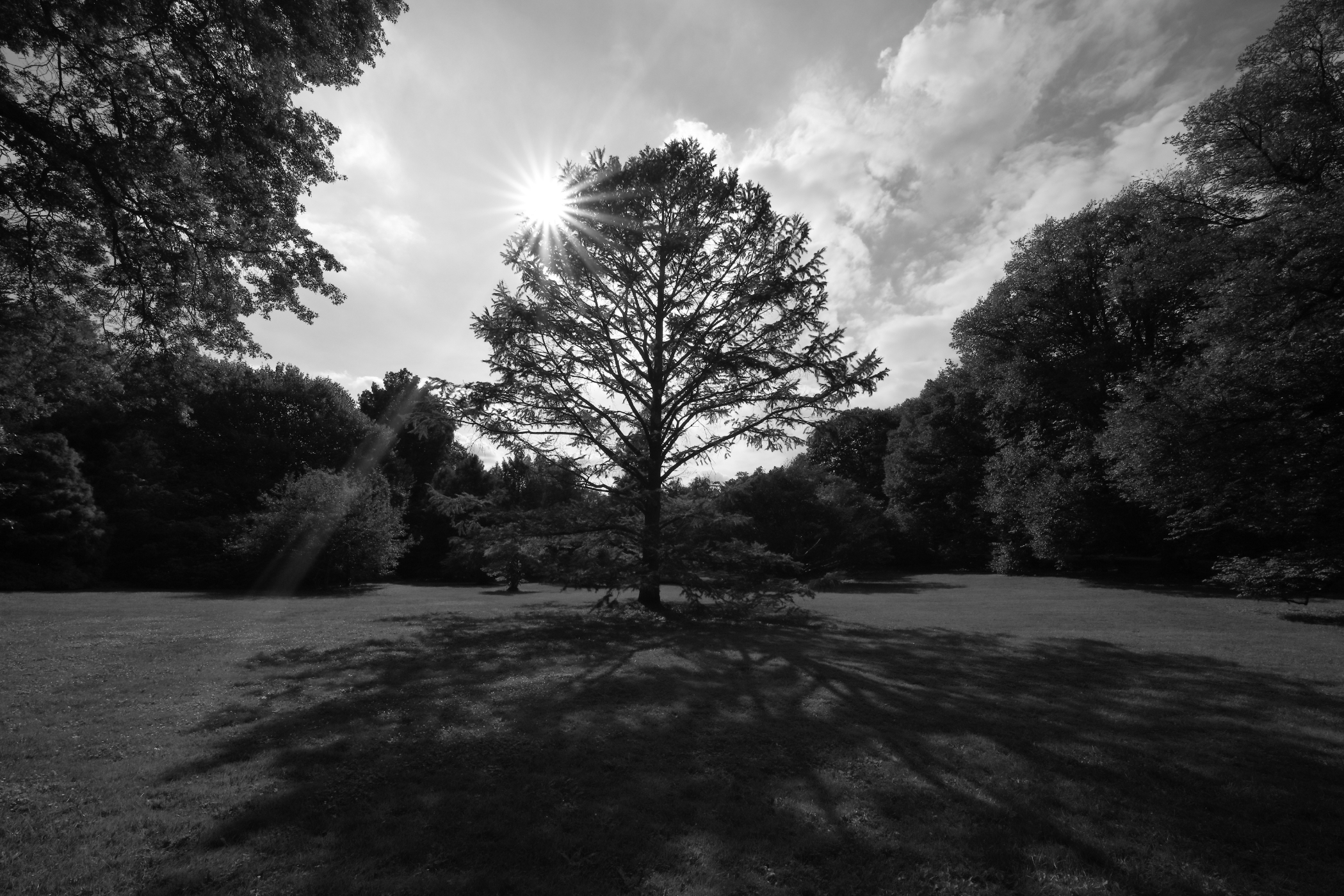 2017 09 15 HTP 01317ebw